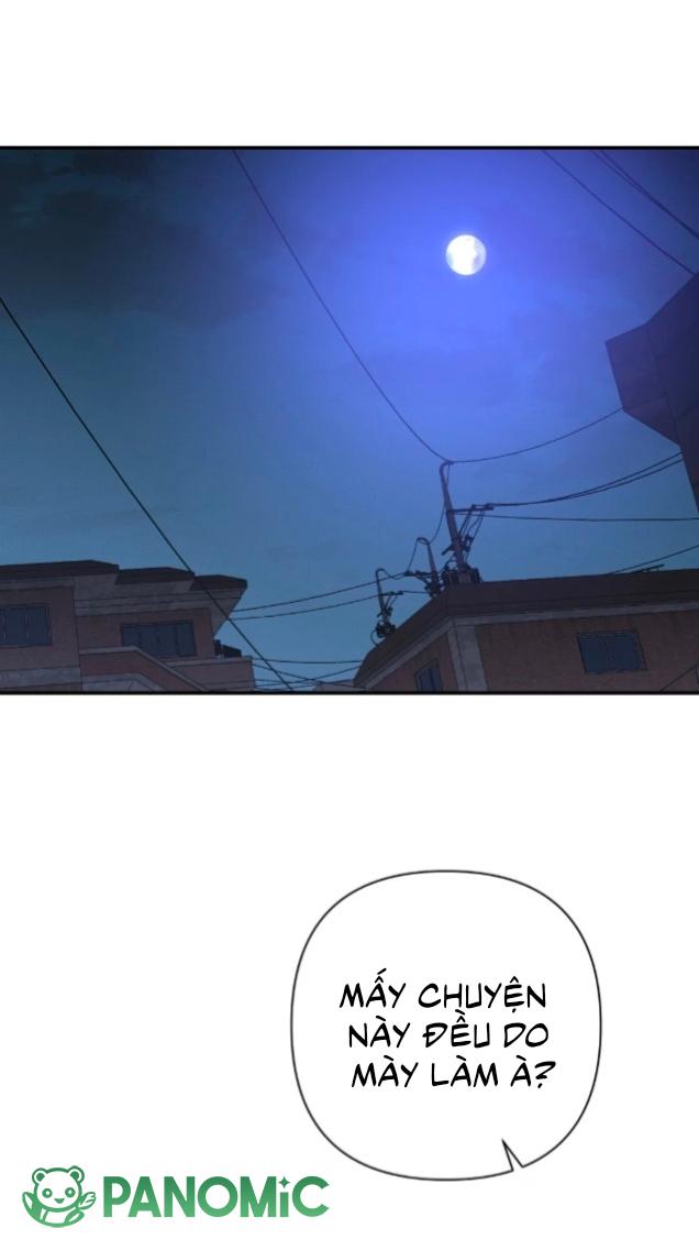 Chó Cắn Chó
