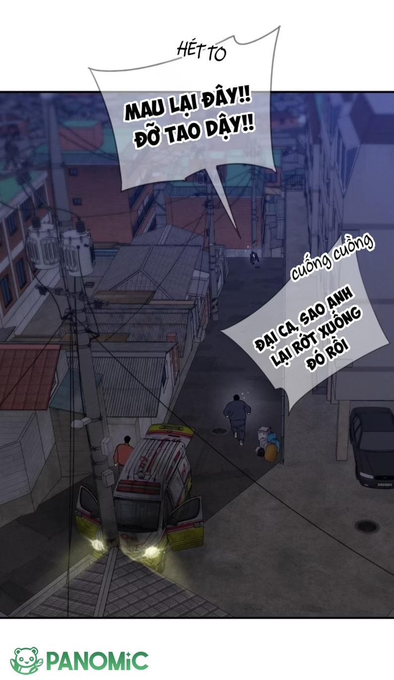Chó Cắn Chó