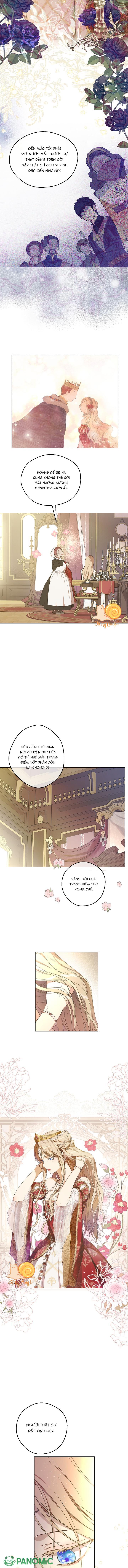 Cánh Đồng Bị Lãng Quên. - Chap 1