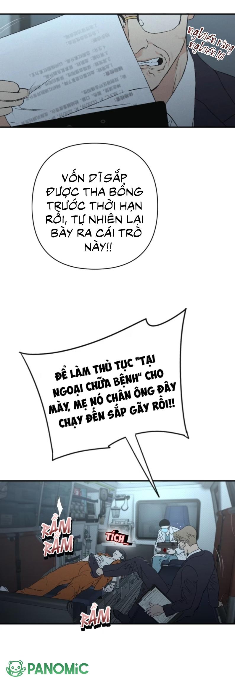 Chó Cắn Chó