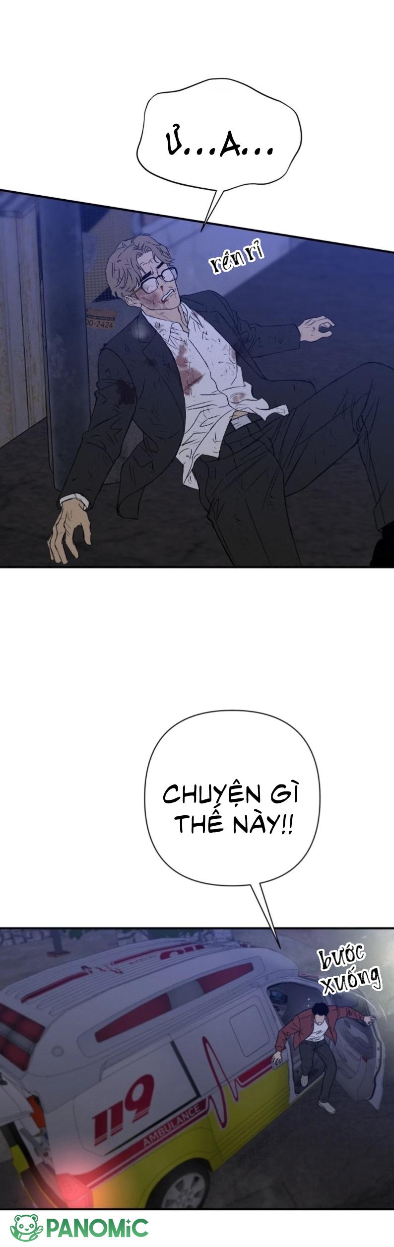 Chó Cắn Chó