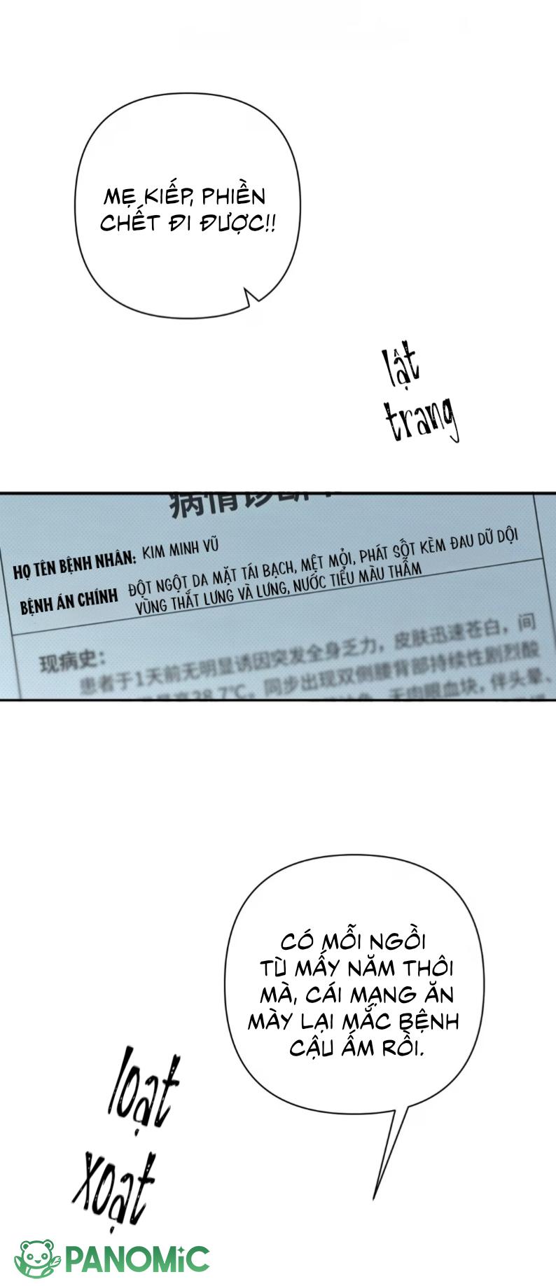 Chó Cắn Chó