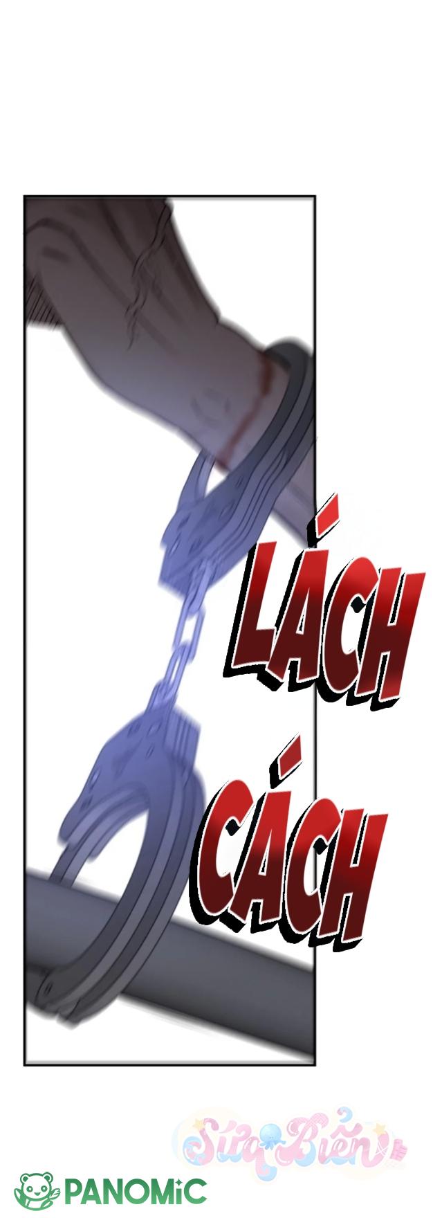 Chó Cắn Chó