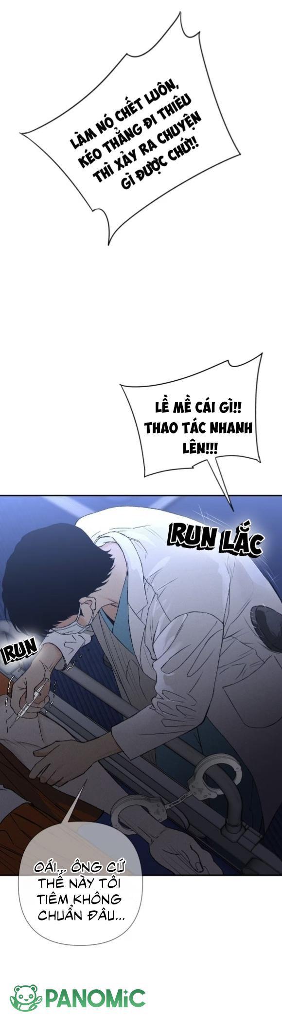 Chó Cắn Chó